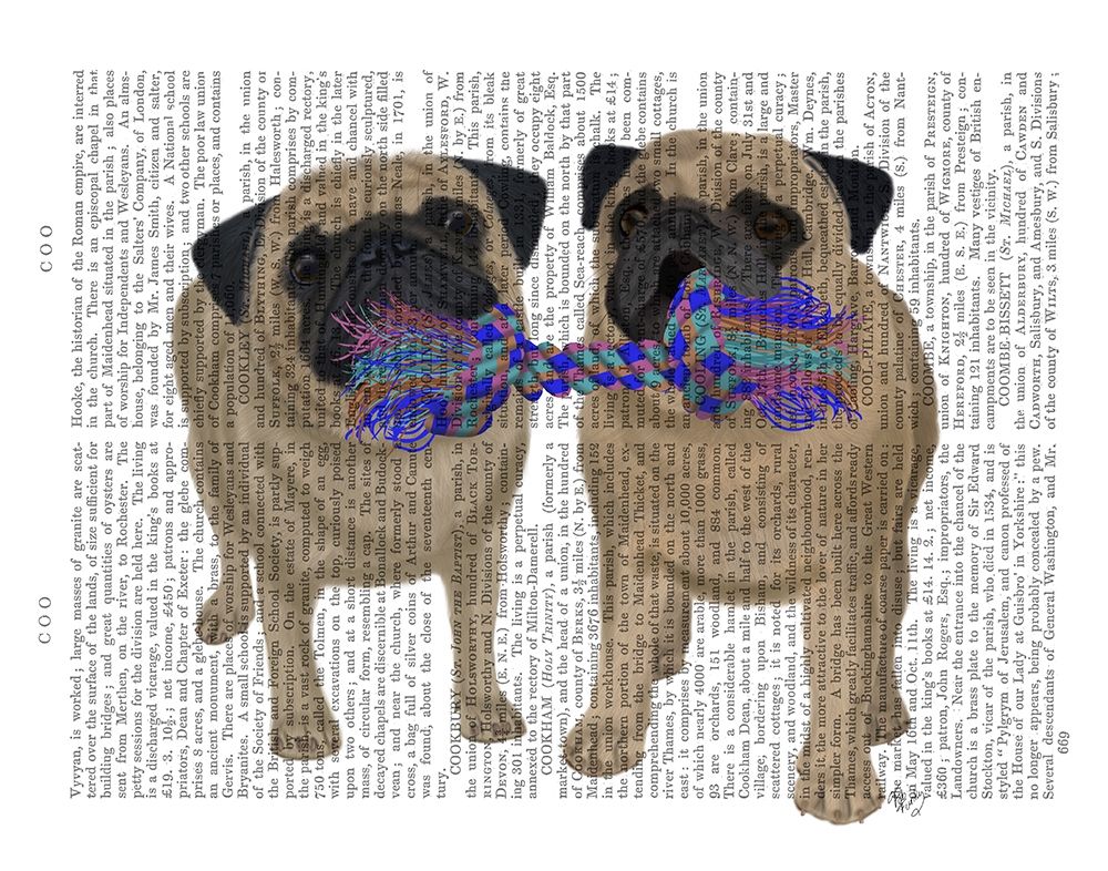 Pugs and Cloth Bone