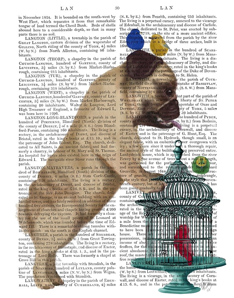Pug and Birdcage