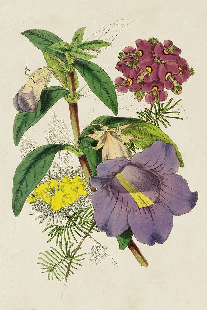 Paxton Botanical Pairing I