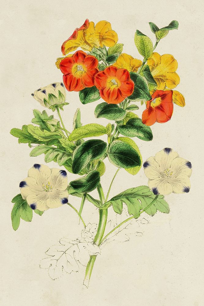 Paxton Botanical Pairing II