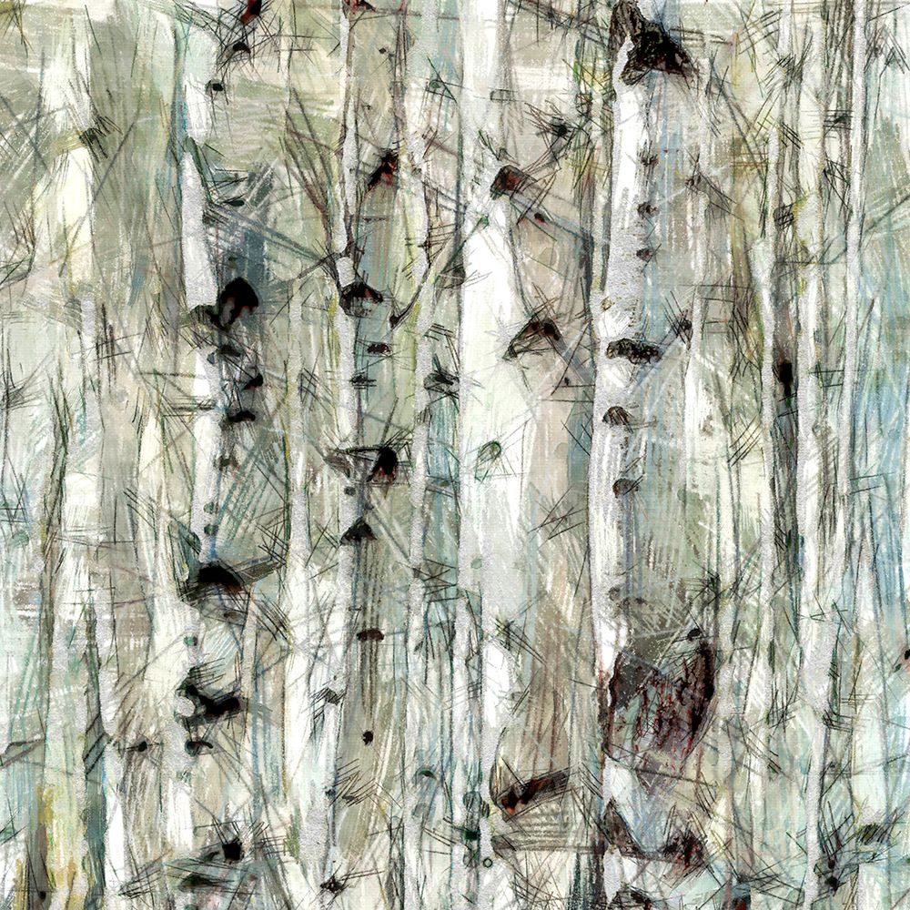 Birch Bunch IV