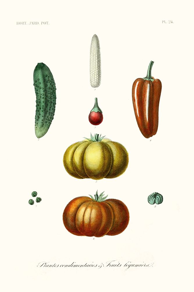 Fruit And Vegetable Varieties III