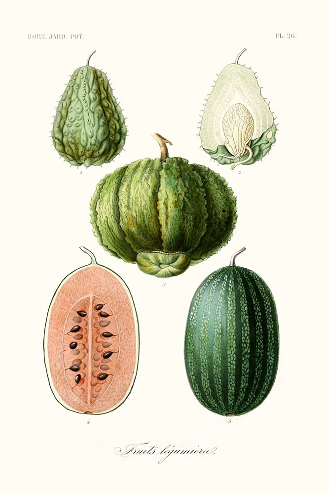 Fruit And Vegetable Varieties VIII