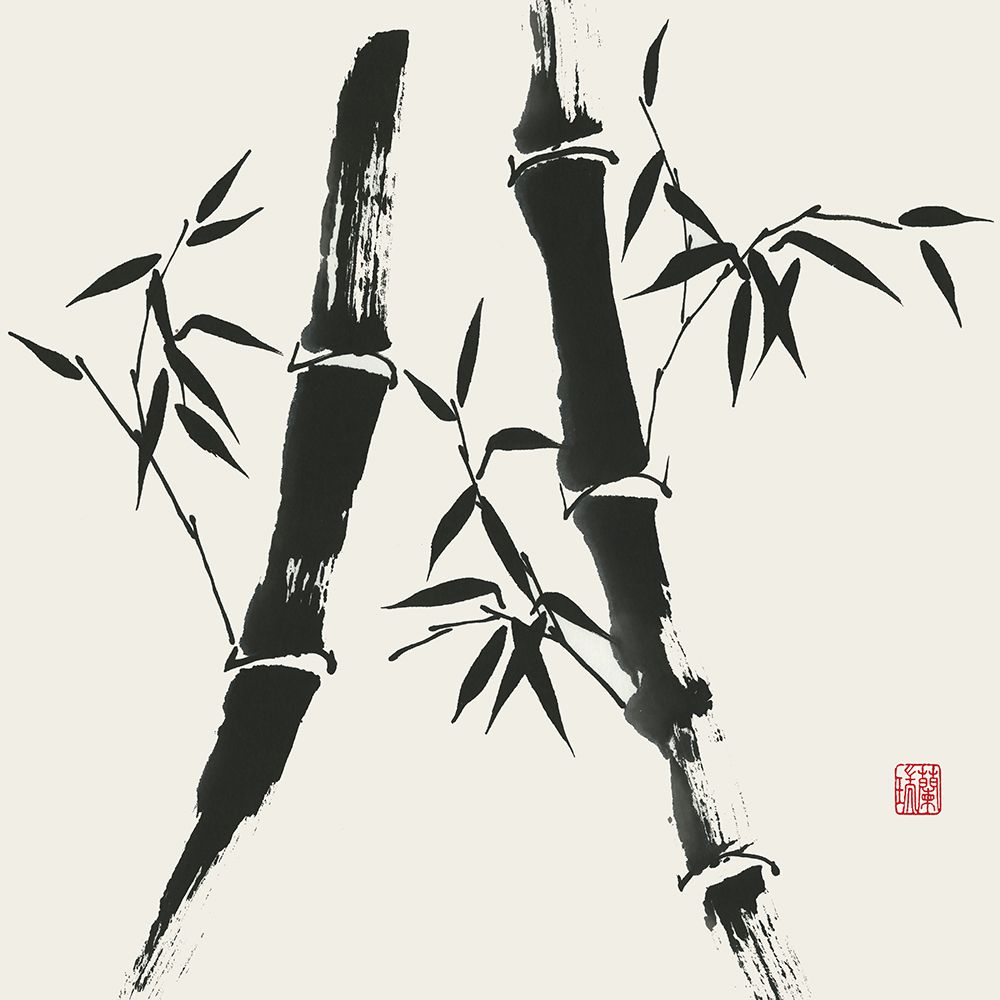 Bamboo Collection V