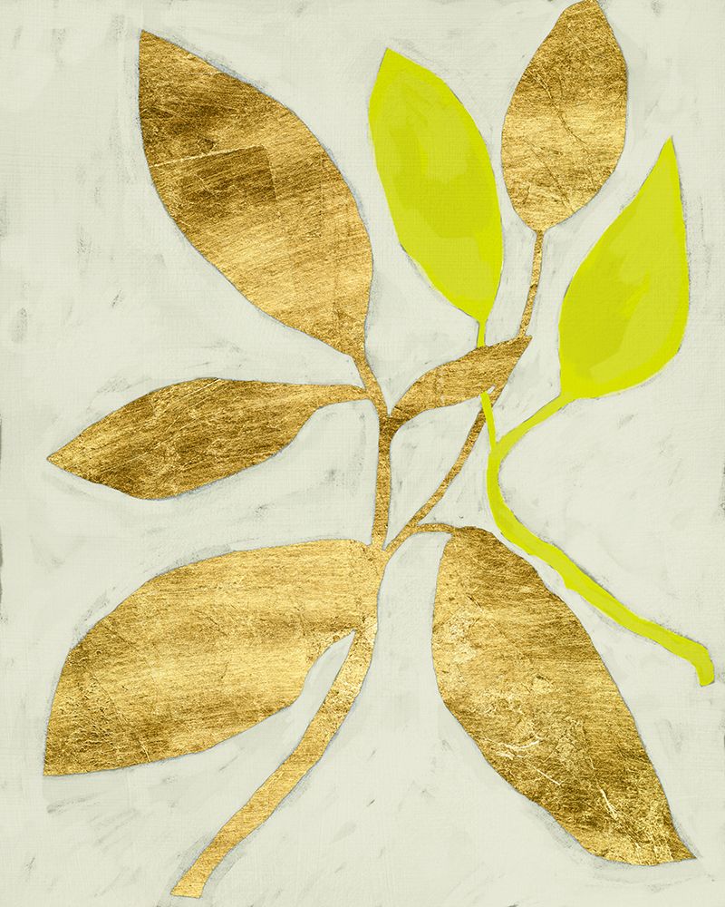 Gilt Tropic II