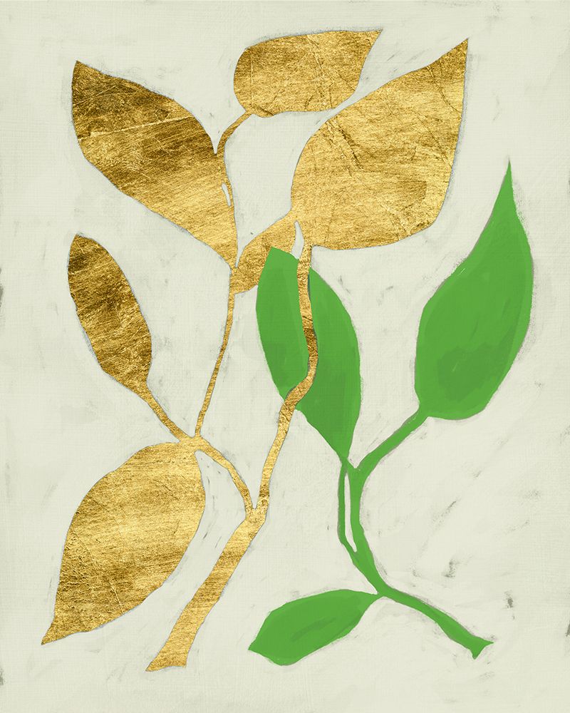 Gilt Tropic VI