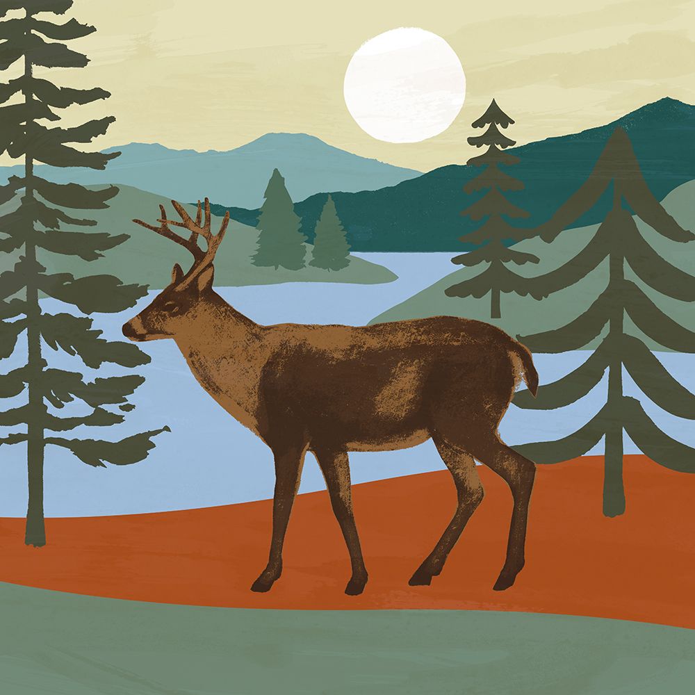 Trailside Animals IV
