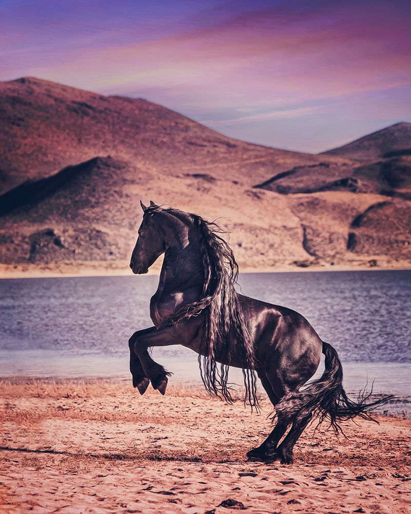 Sunlit Horses II