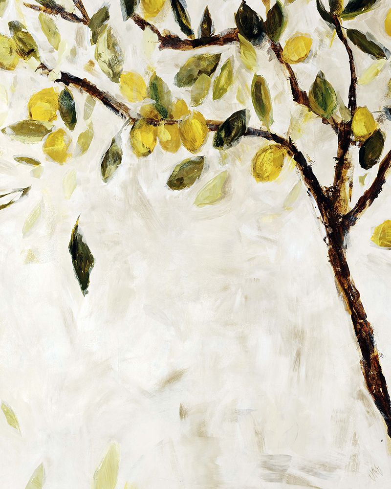Meyer Lemon Tree