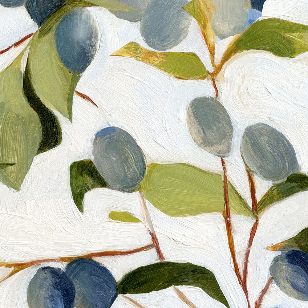 Olives on the Branch I