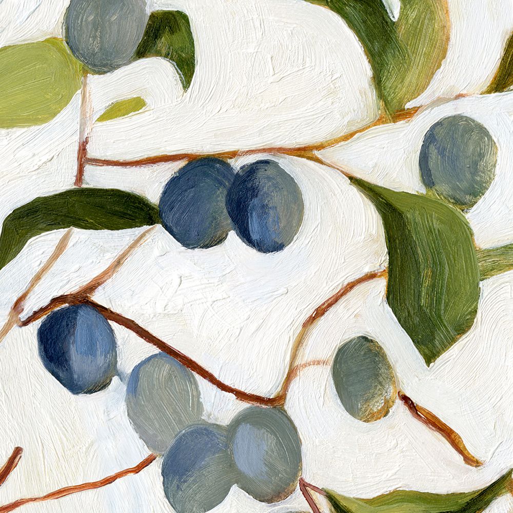 Olives on the Branch IV