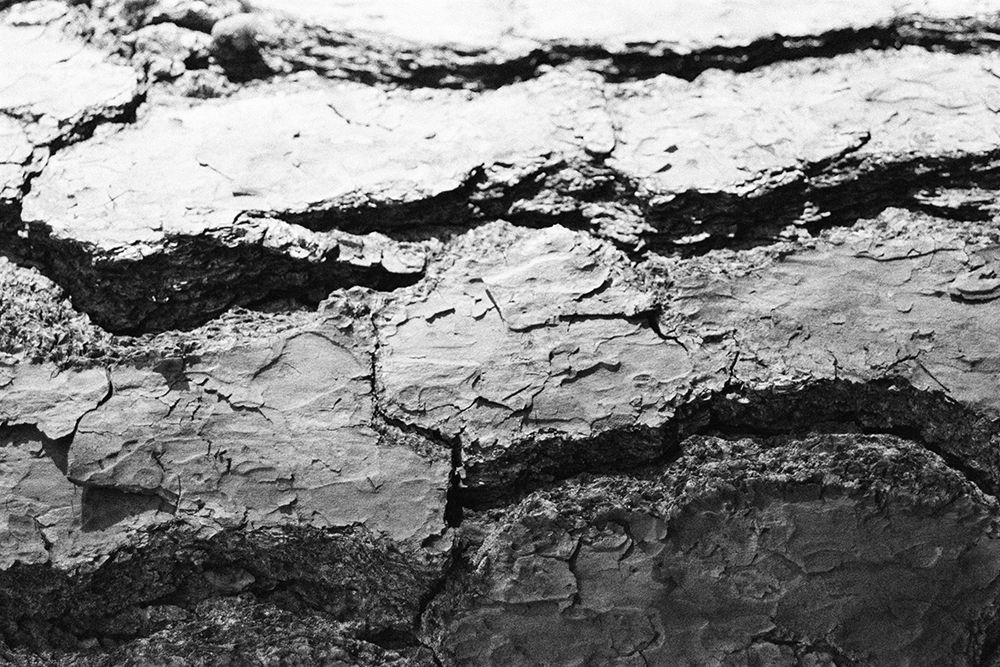 Found Textures IV
