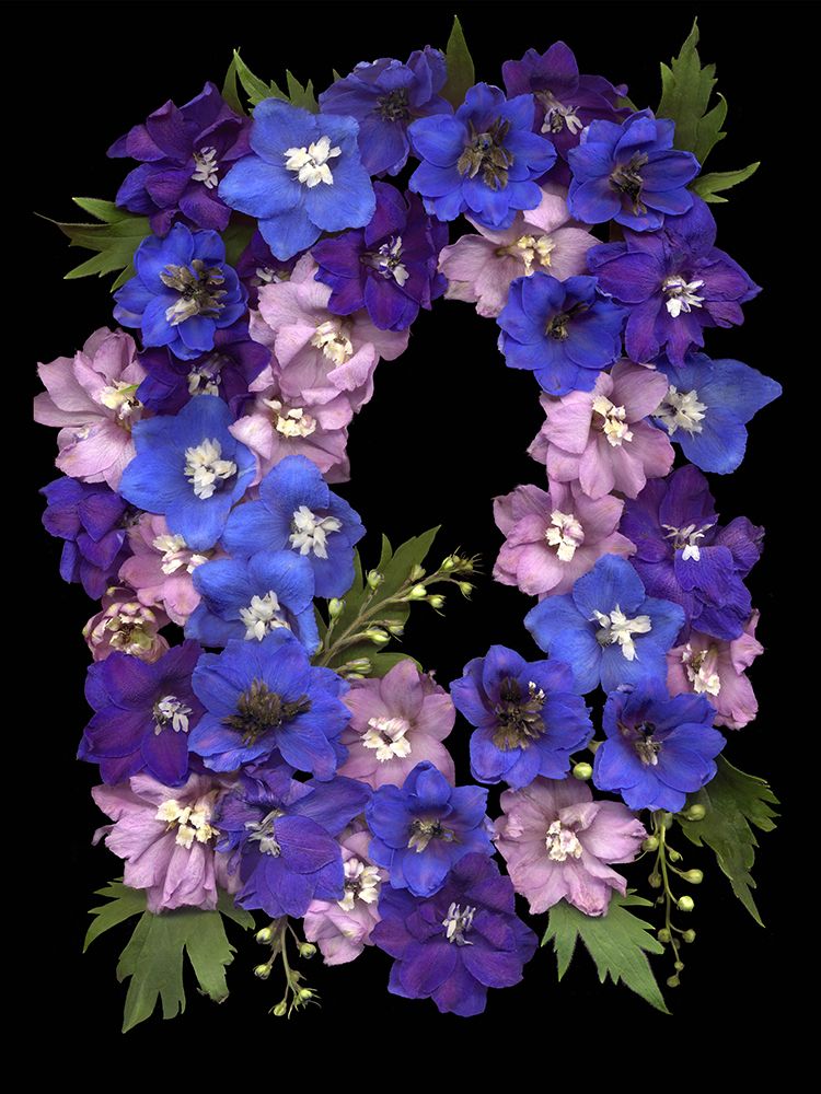 Flower Drama II
