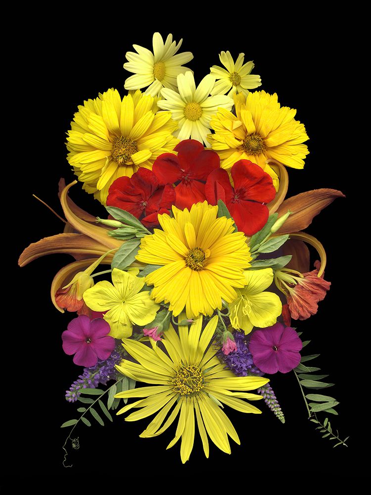 Flower Drama V