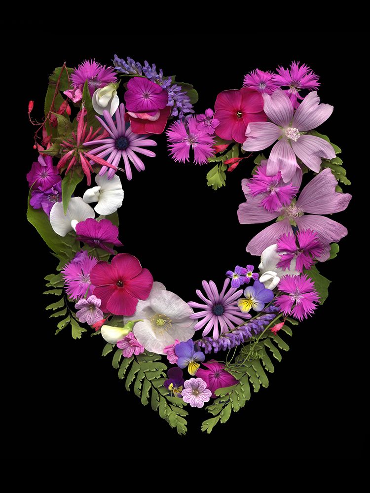 Flower Drama VI