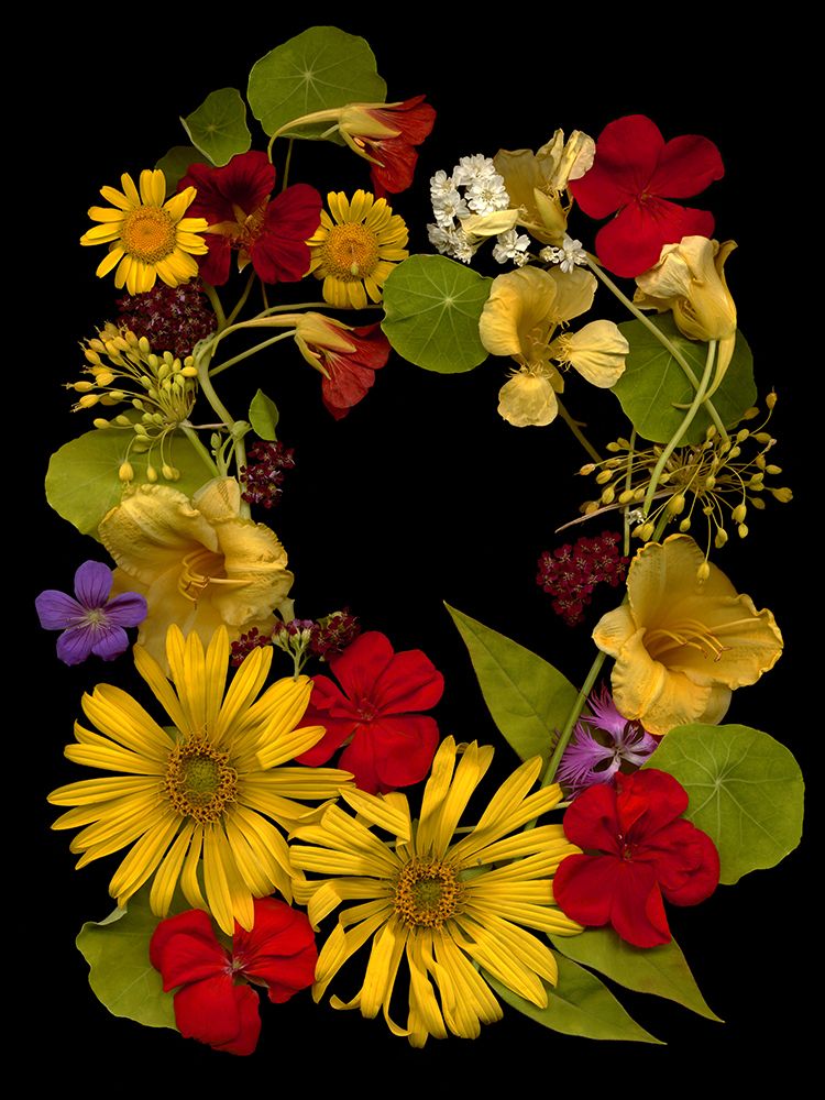 Flower Drama IX