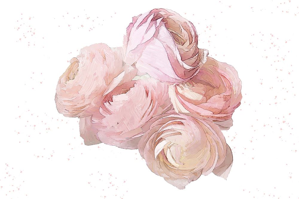 Pink Peonies