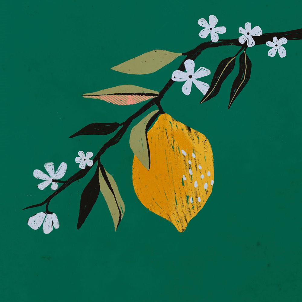Lemon Blossom II
