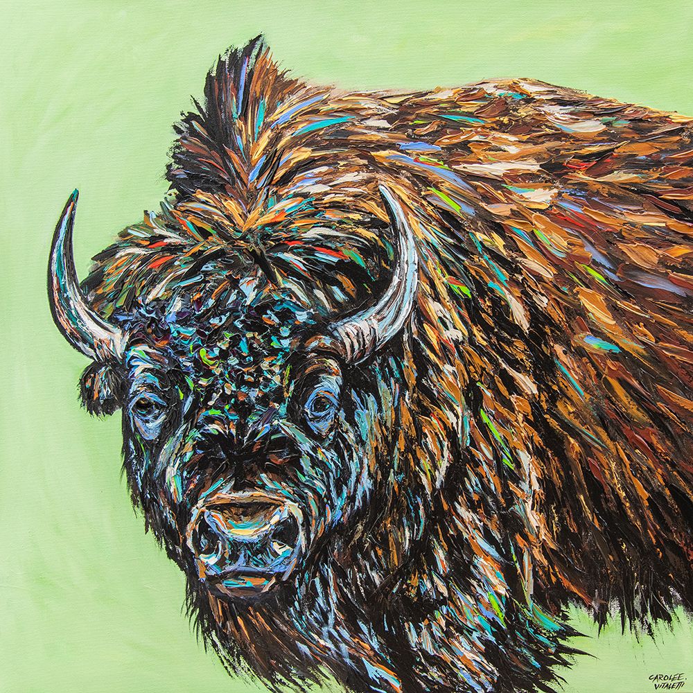 A Large Bison