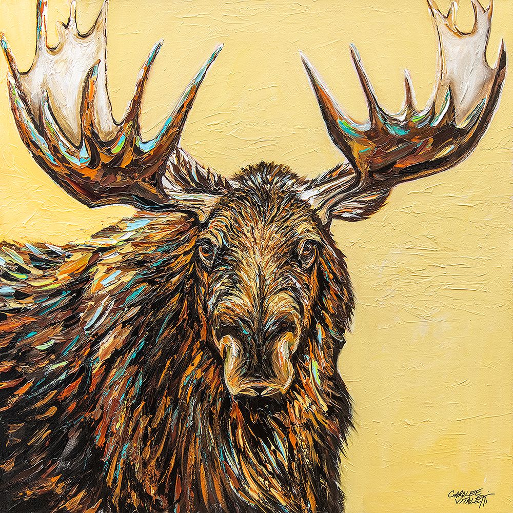 A Large Moose