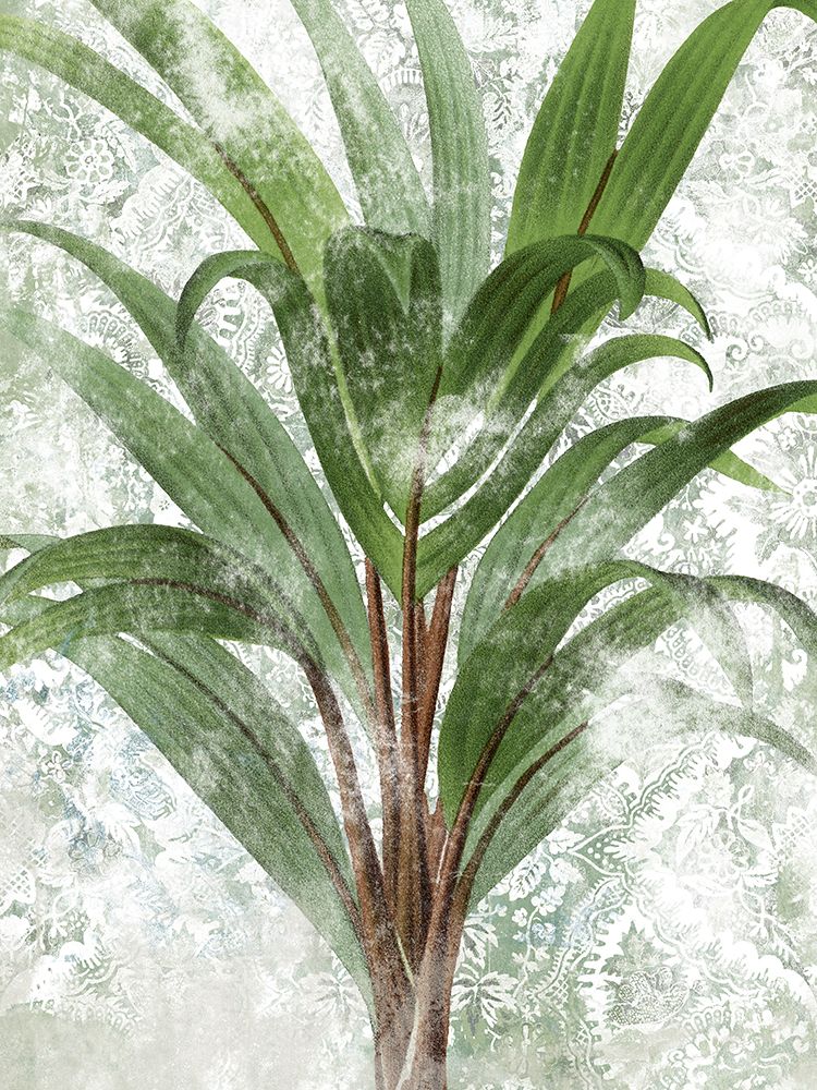 Lace Palms III