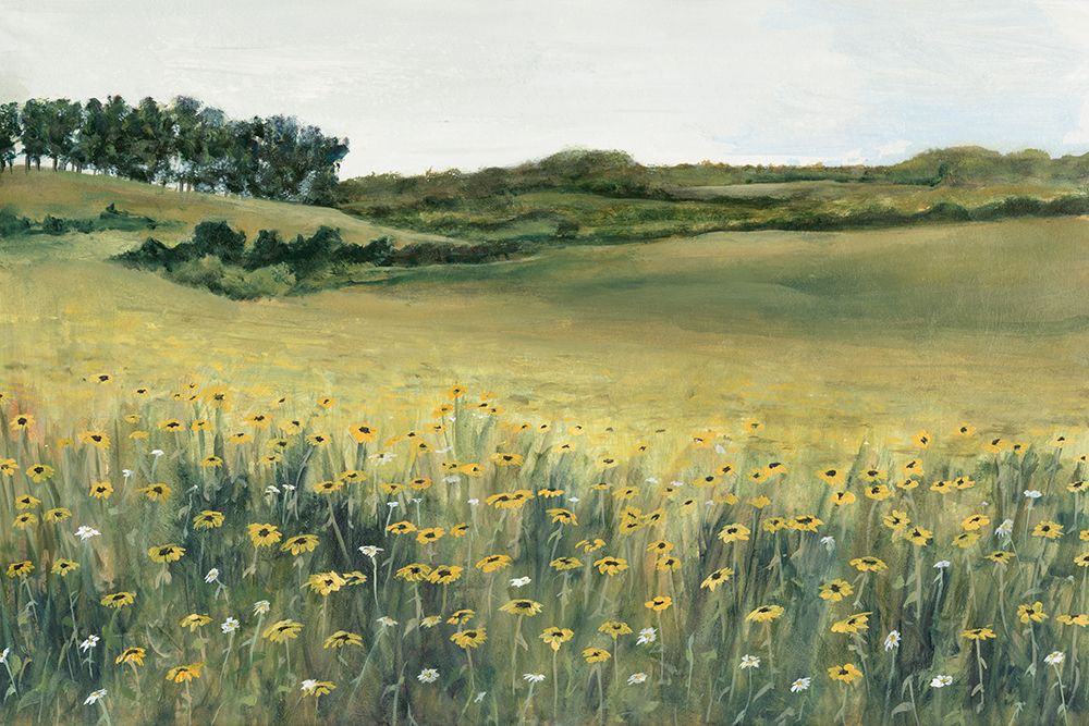 Yellow Meadow