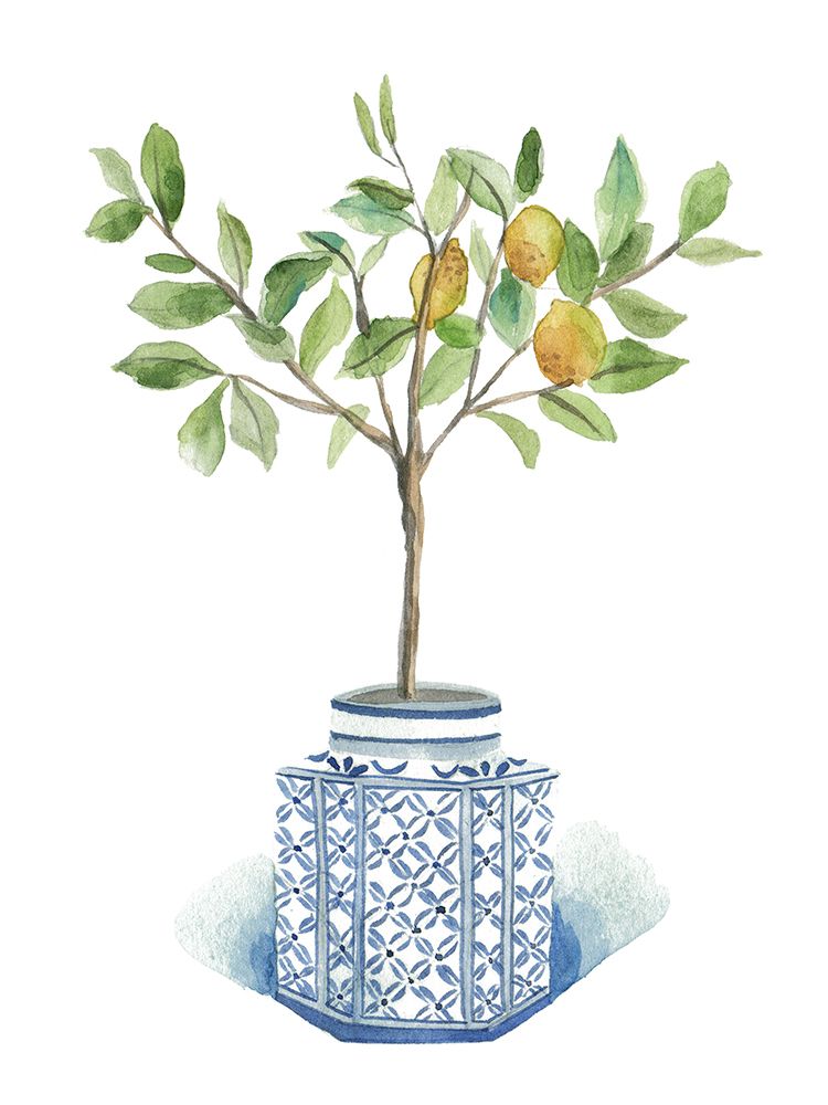Growing Lemon I