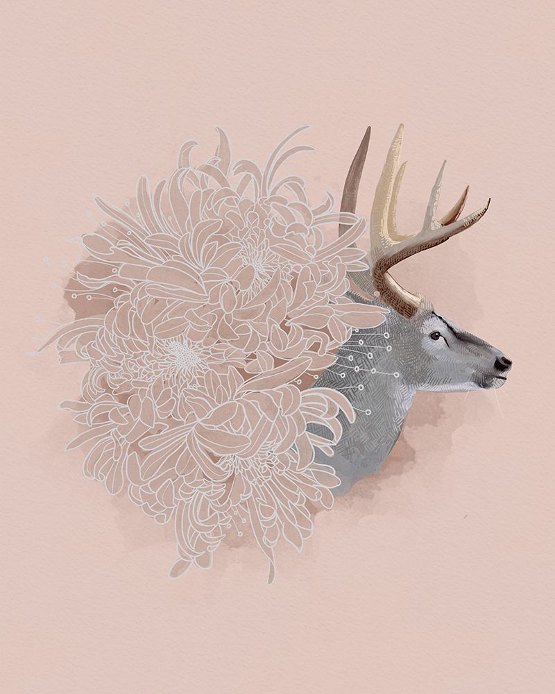 Buck and Flower I