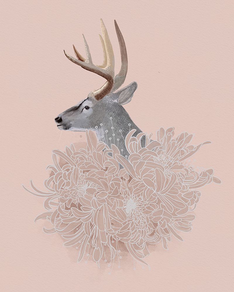 Buck and Flower II