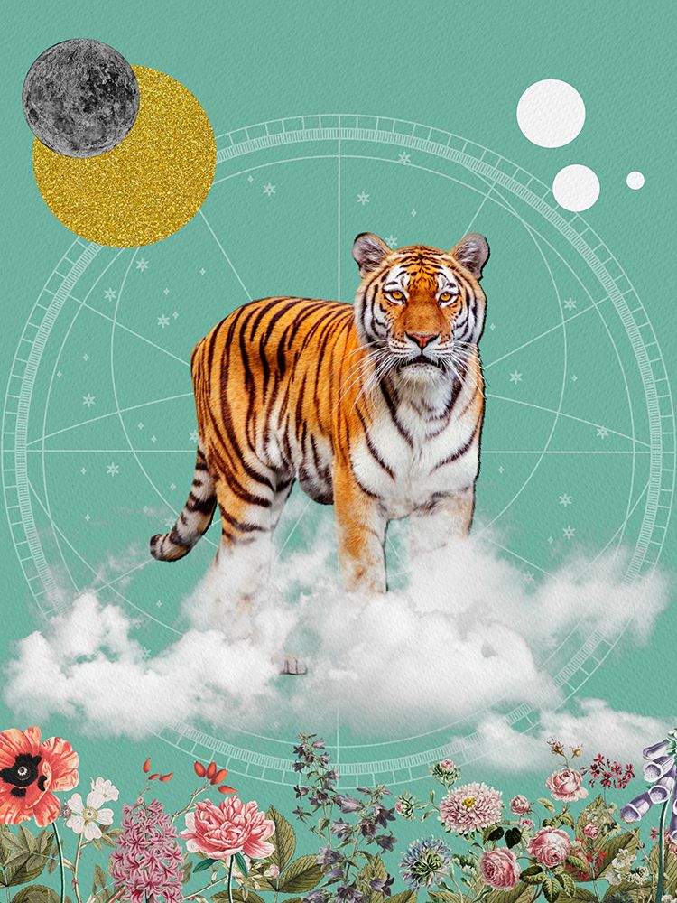 Cat in the Clouds II