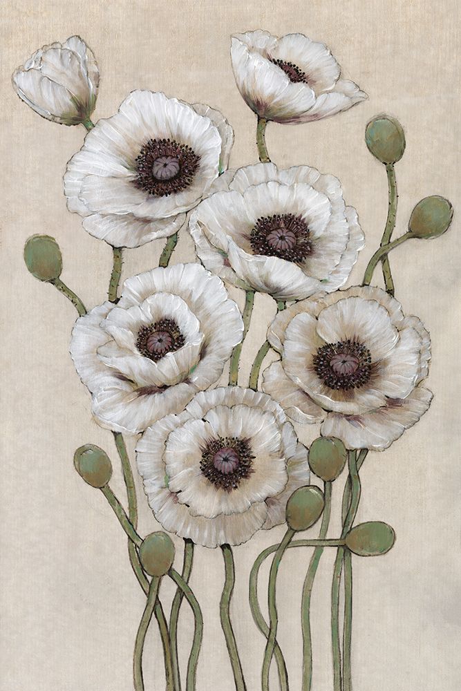 Tall White Poppies I