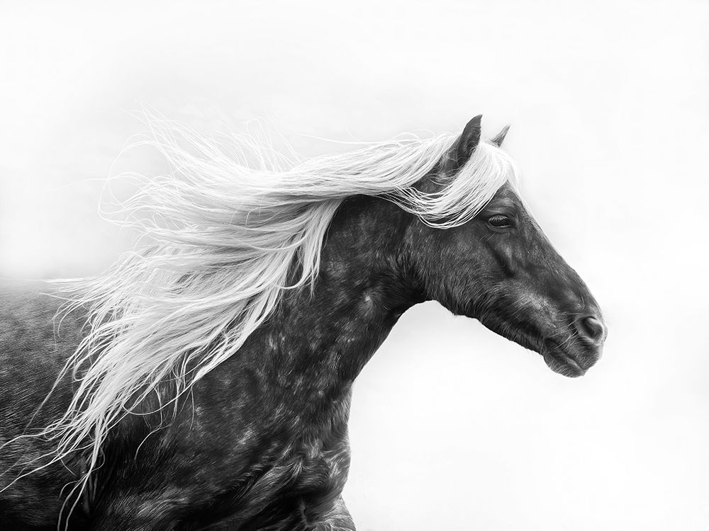 Running In the Wind I