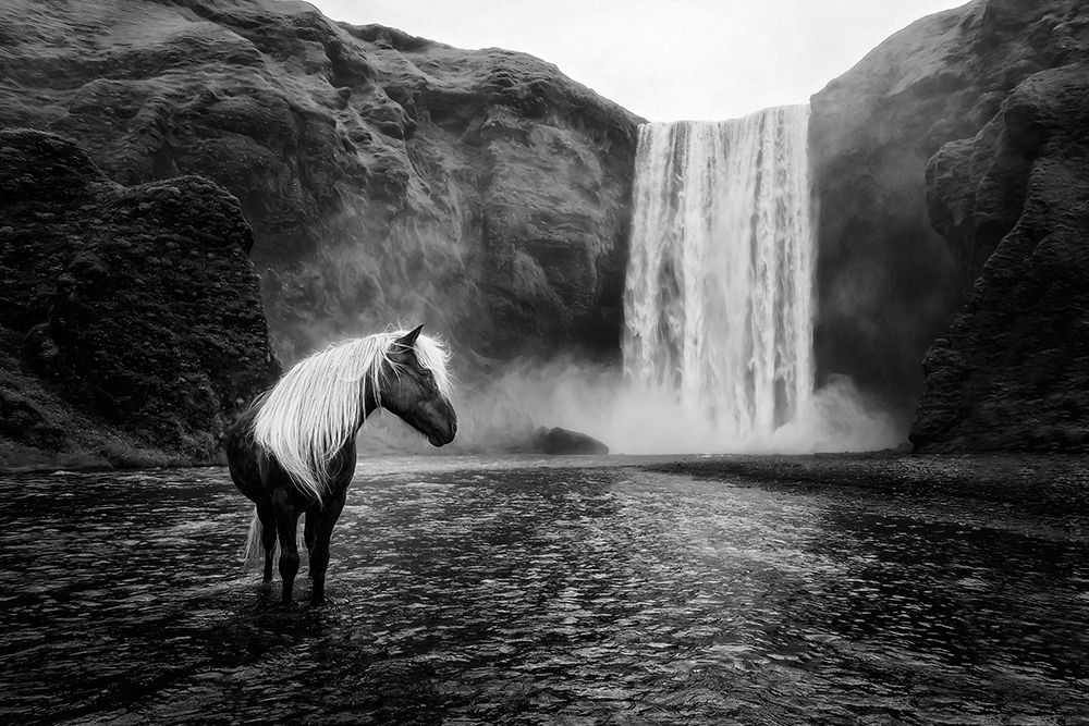 Water Country II