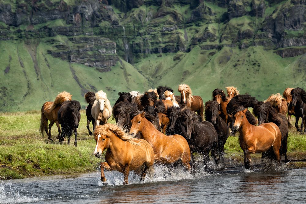 Water Crossing II