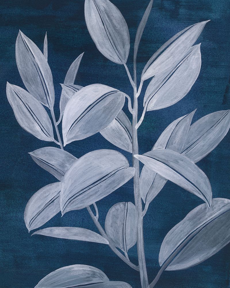 Sapphire Ficus II