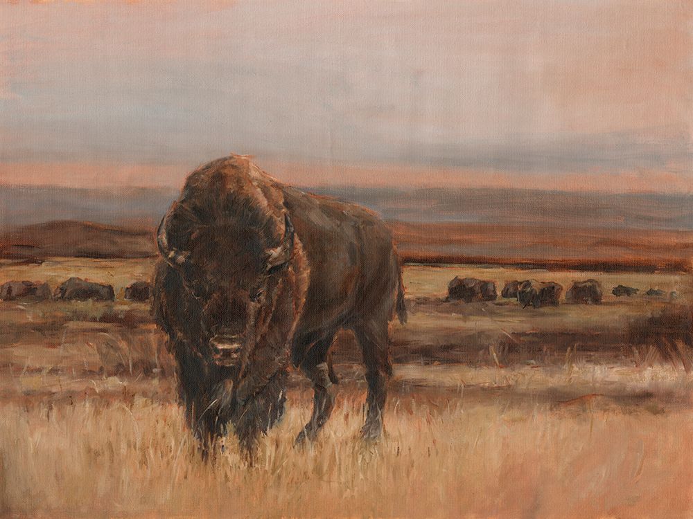 American Buffalo on the Plains I
