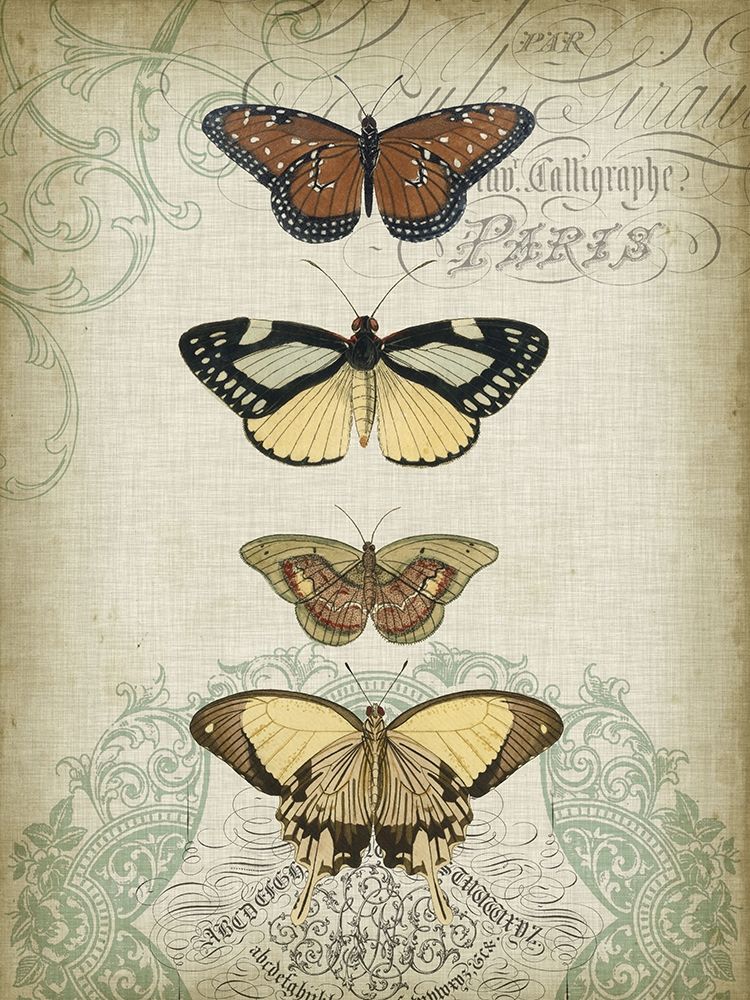 Cartouche and Butterflies I