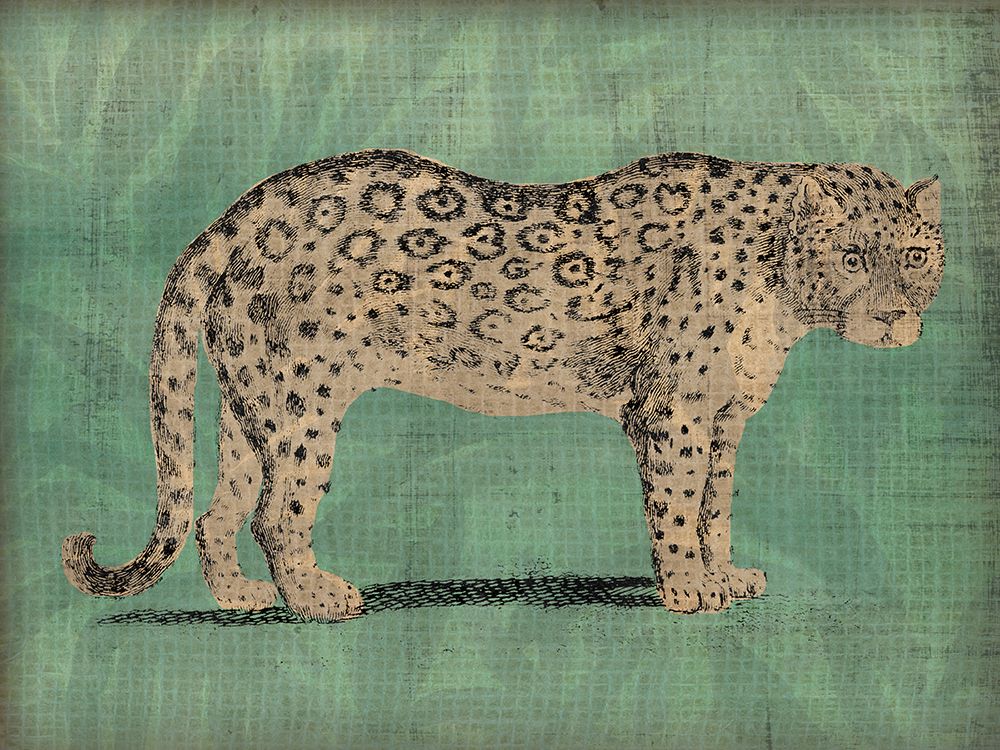 Vintage Jungle Cat I