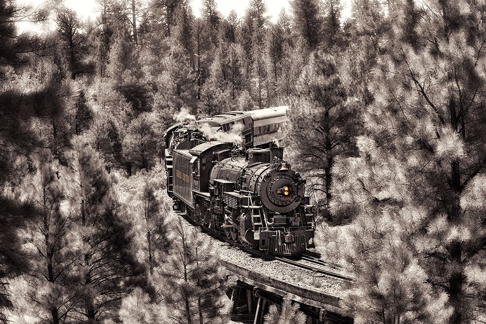 Train to Grand Canyon