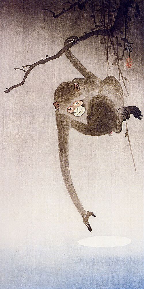 Oharas Monkeys in Trees II