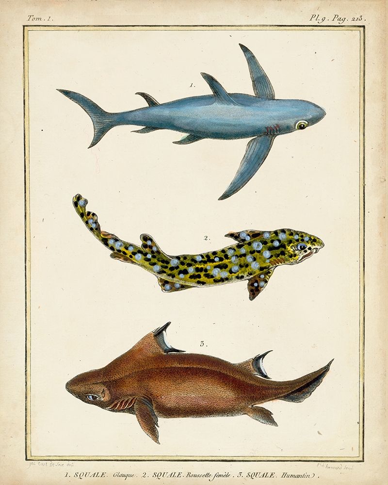 Antique Rays and Fish III