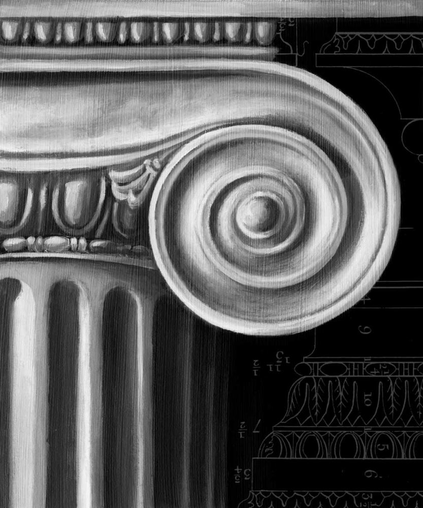 Ionic Capital Detail I