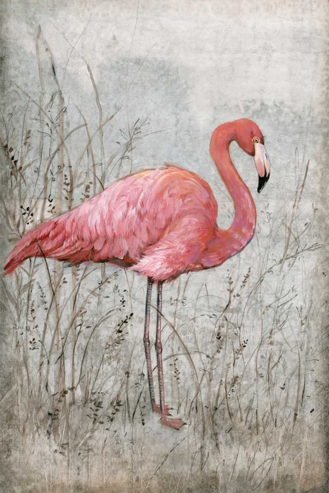 American Flamingo I