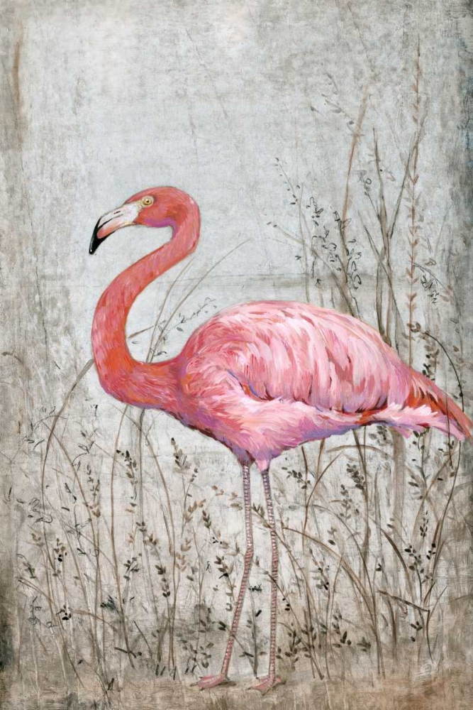 American Flamingo II