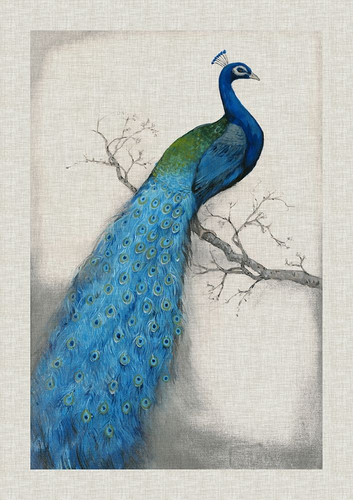 Custom Peacock Blue I (ASH)