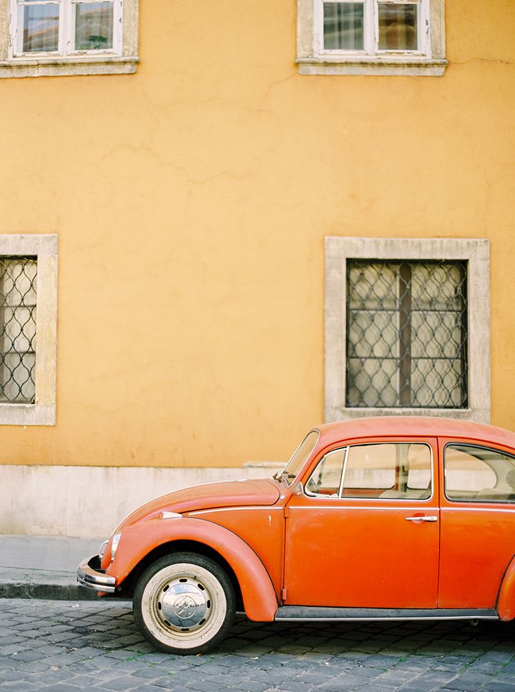 Orange Bug