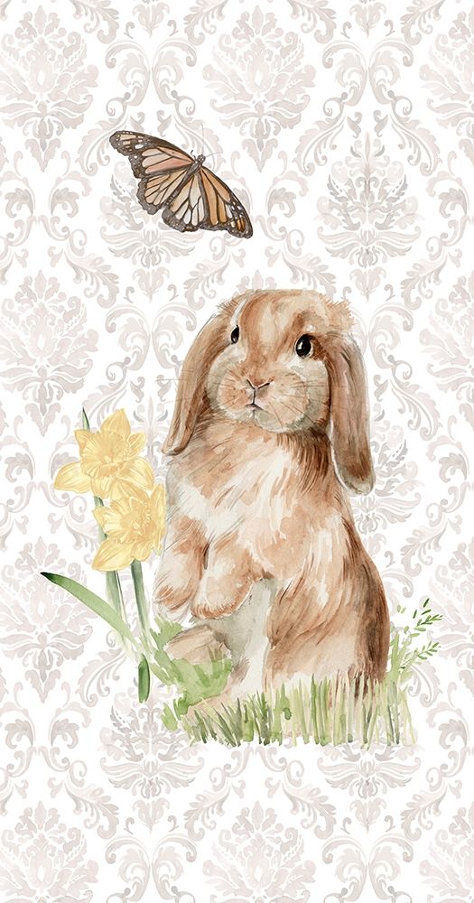 English Bunnies Collection B