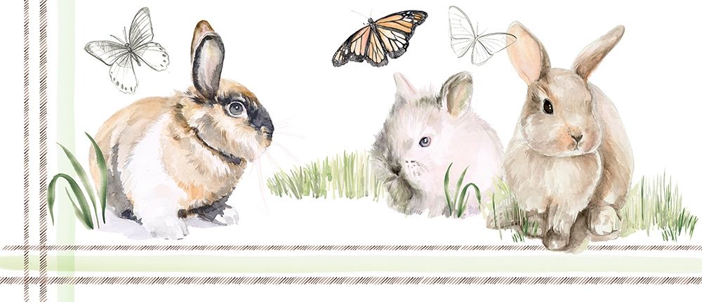 English Bunnies Collection D