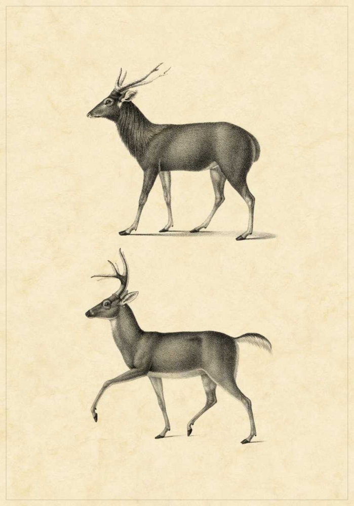 Vintage Deer II