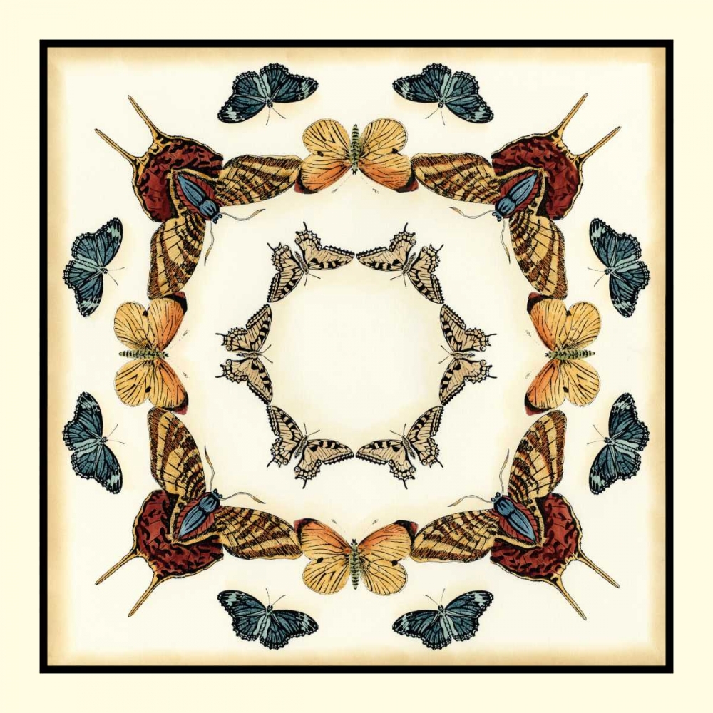 Butterfly Collector I